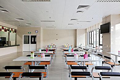 等待多年的新作 《重返猴岛》现已正式发售